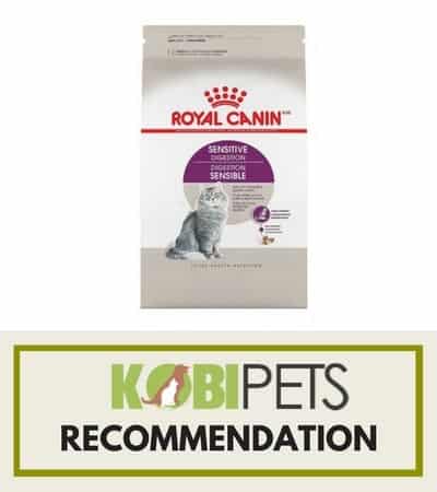 royal canine dry cat food