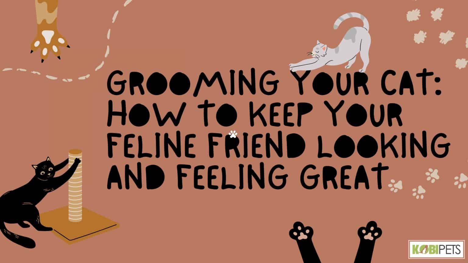 Grooming Your Cat: How to Keep Your Feline Friend Looking and Feeling Great