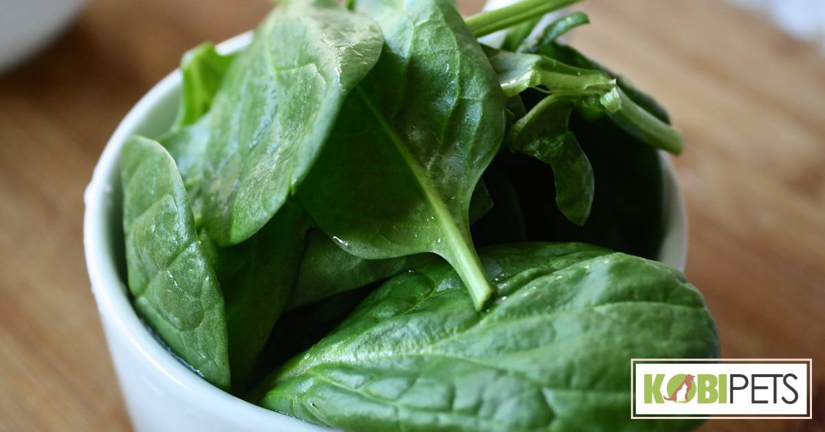 Spinach