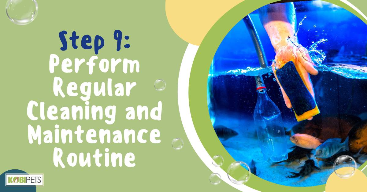 Step 9: Perform Regular Cleaning and Maintenance RoutineStep 9: Perform Regular Cleaning and Maintenance Routine
