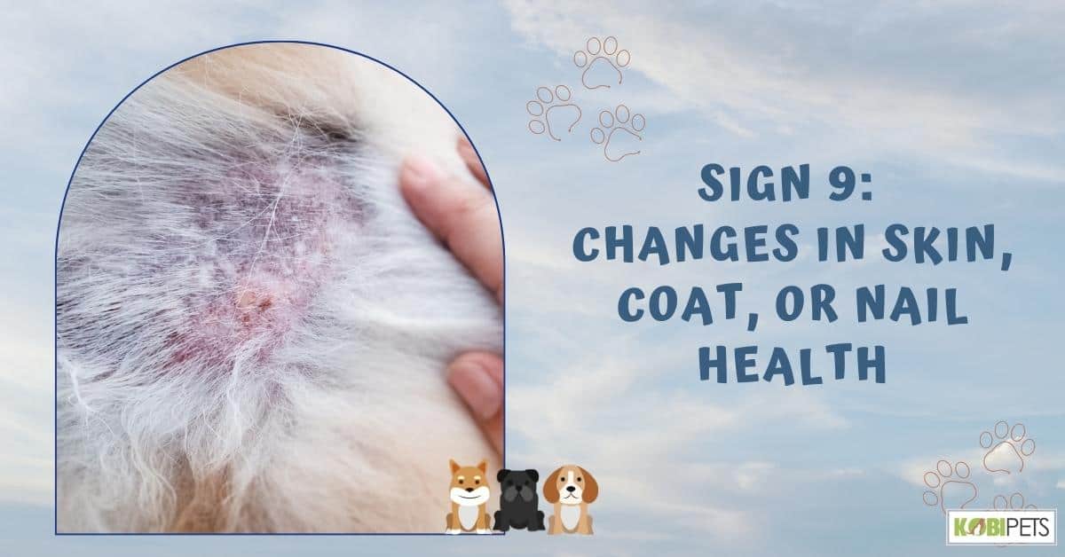 Sign 9: Changes in Skin, Coat, or Nail Health
