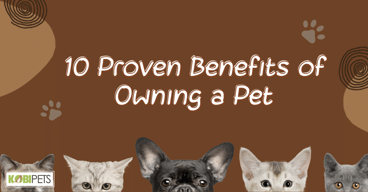 10 Proven Benefits of Owning a Pet