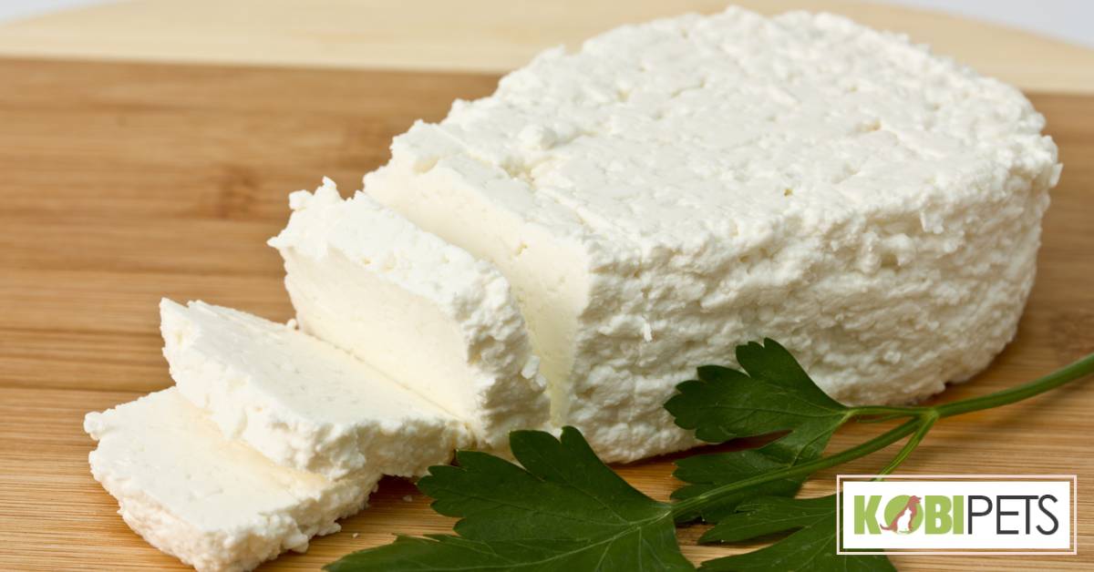 Cottage cheese