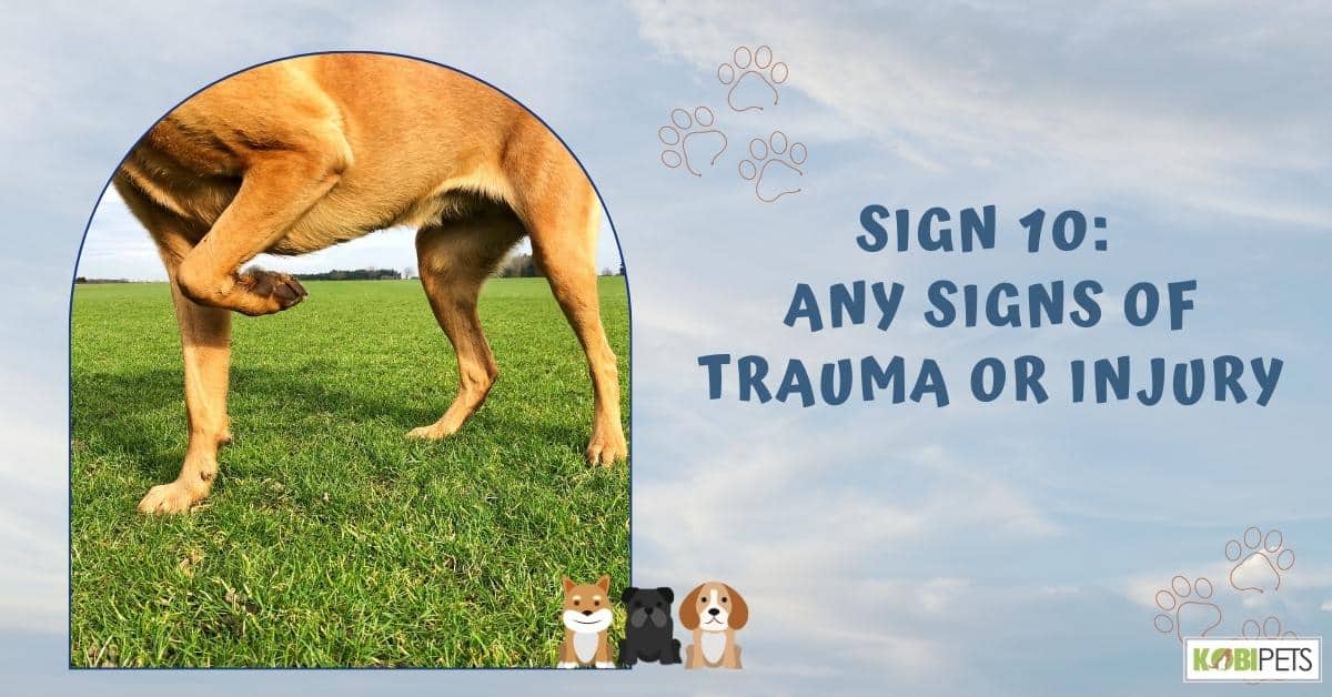 Sign 10: Any Signs of Trauma or Injury