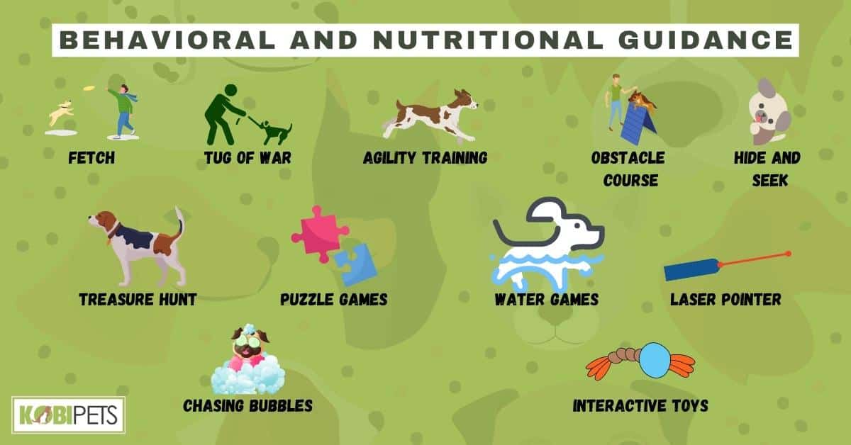 11 Fun Games to Play with Your Pet