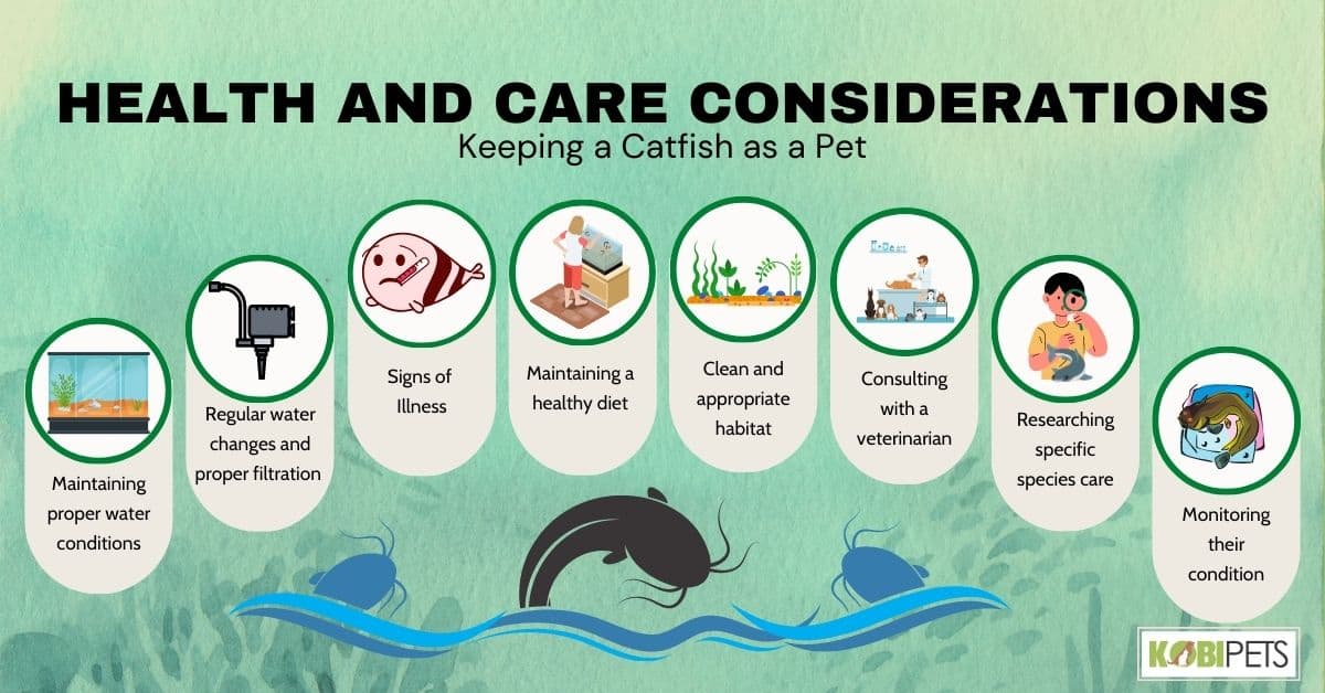 Health and Care Considerations