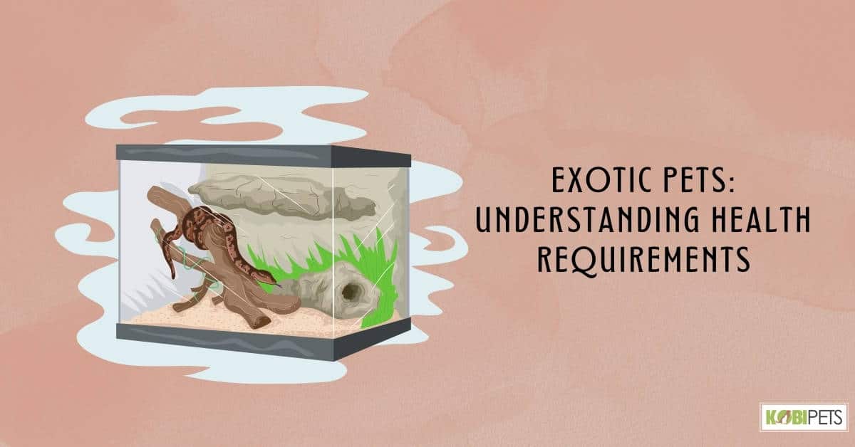 Exotic Pets: Understanding Health Requirements