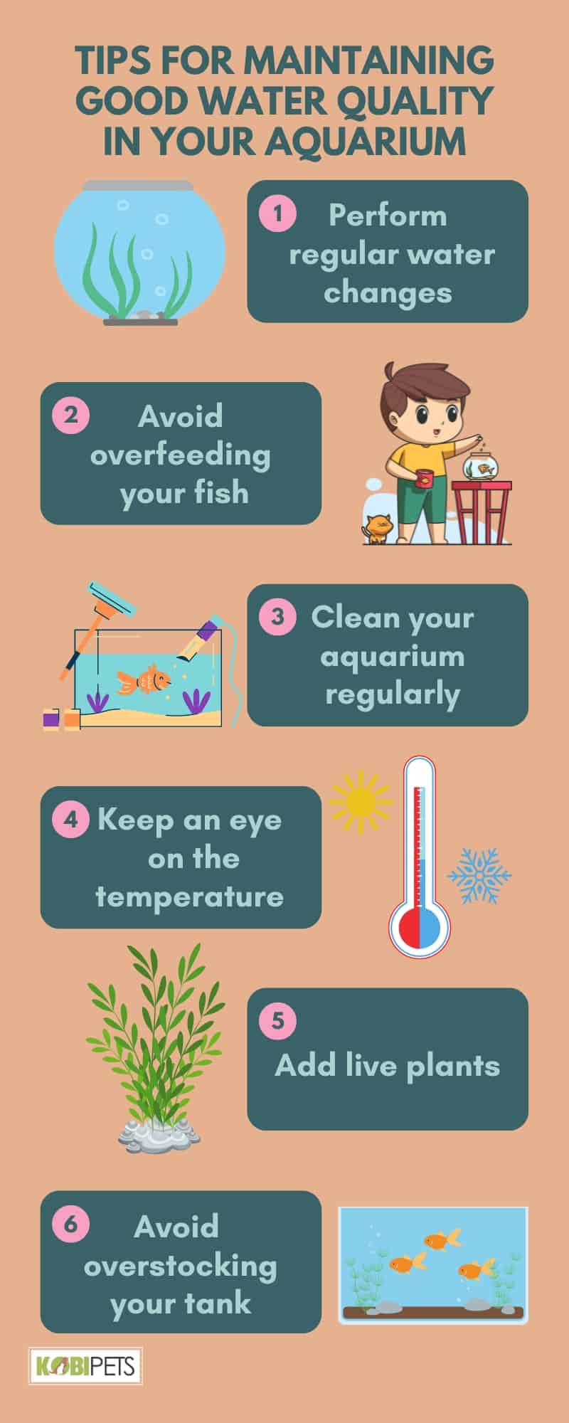 Tips For Maintaining Good Water Quality In Your Aquarium