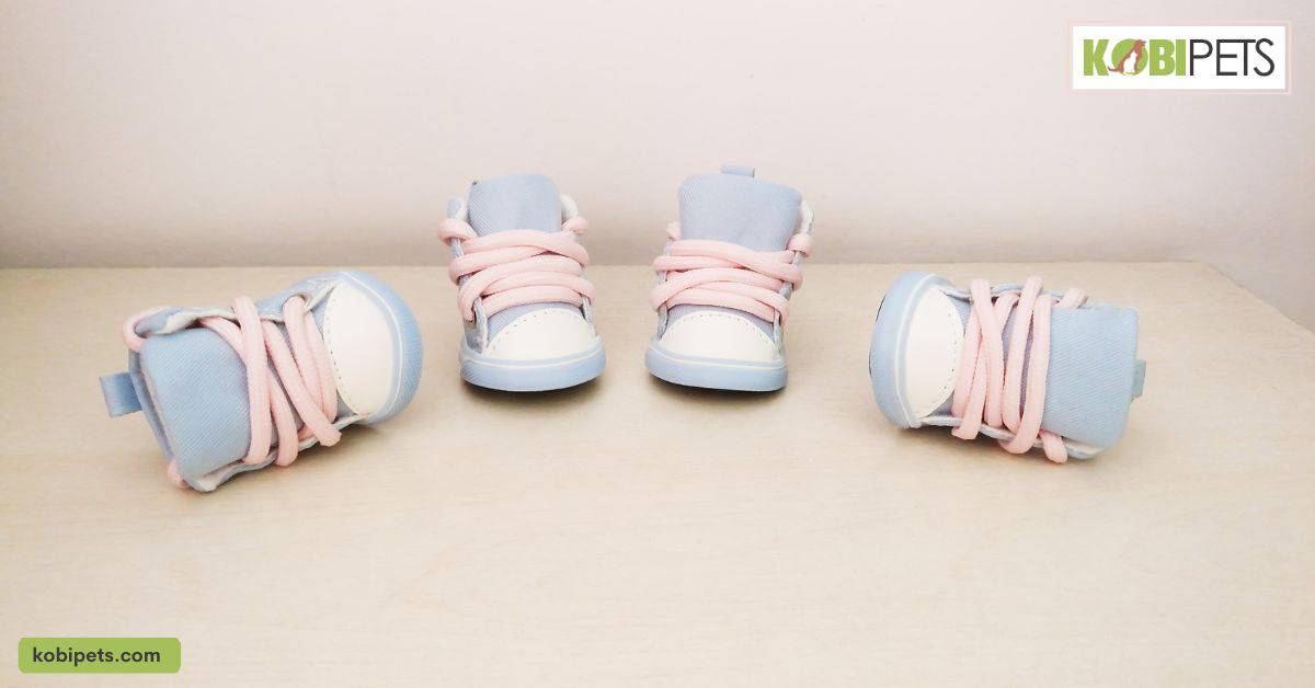 Get your pup some adorable booties to protect their paws from the cold and ice.