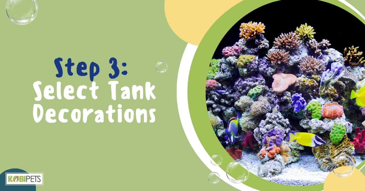 Step 3: Select Tank Decorations