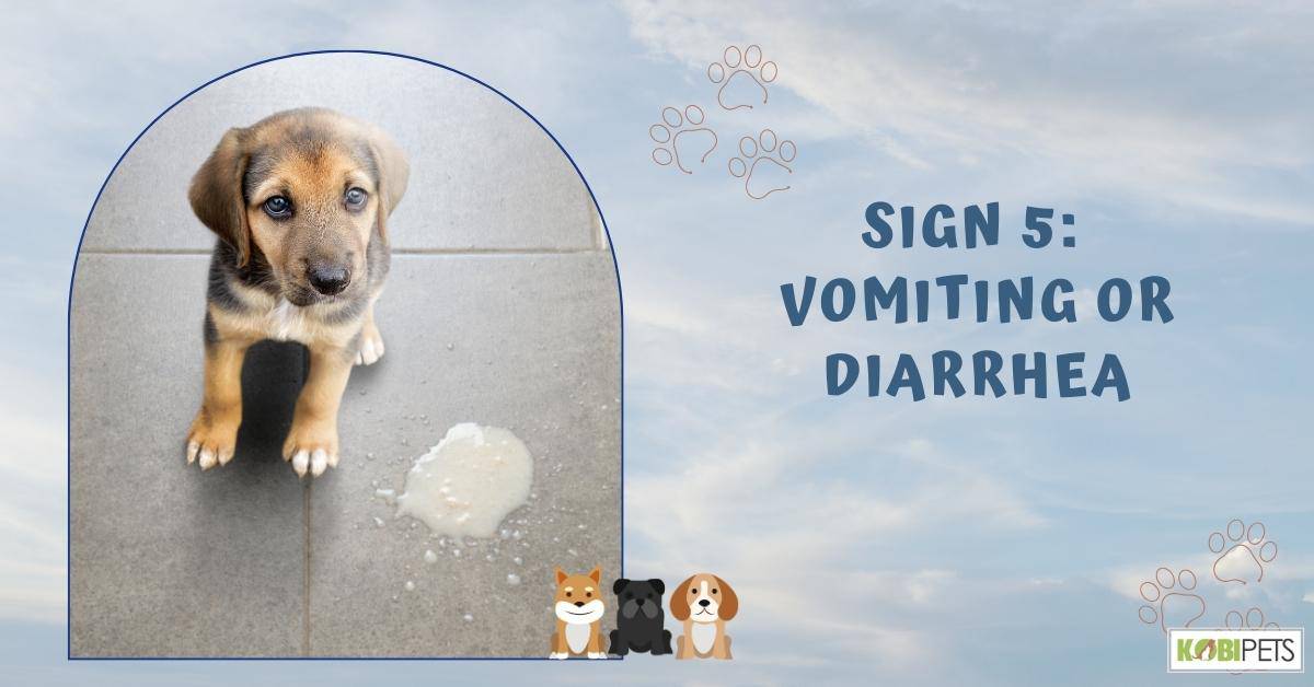 Sign 5: Vomiting or Diarrhea
