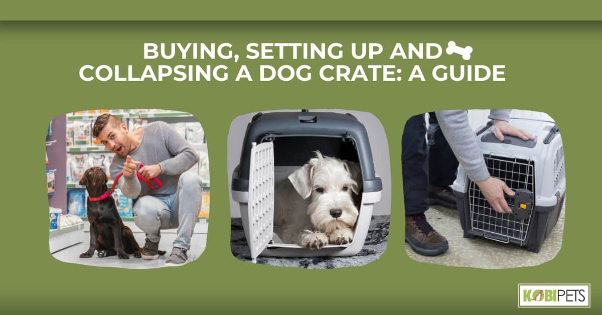 Buying, Setting Up and Collapsing a Dog Crate: A Guide