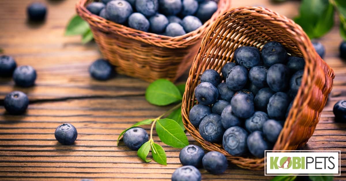 Blueberries