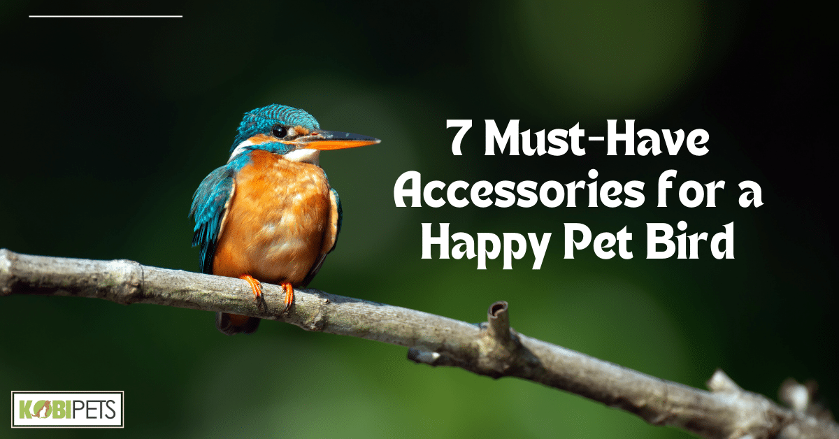 7 Must-Have Accessories for a Happy Pet Bird