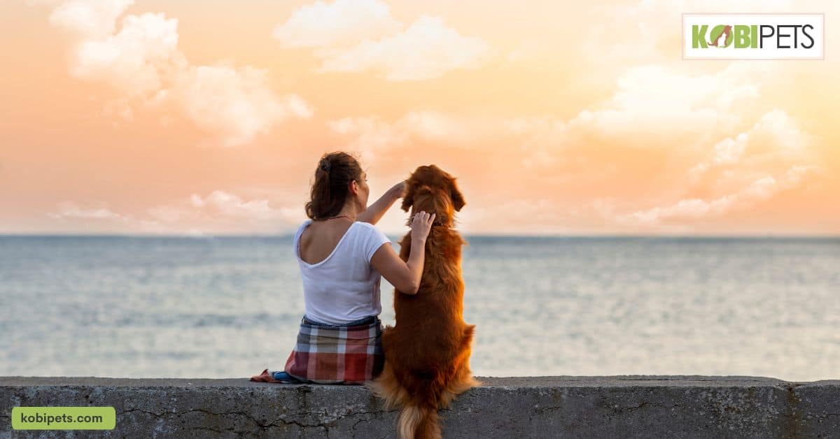 Final Tips for First-Time Dog Owners