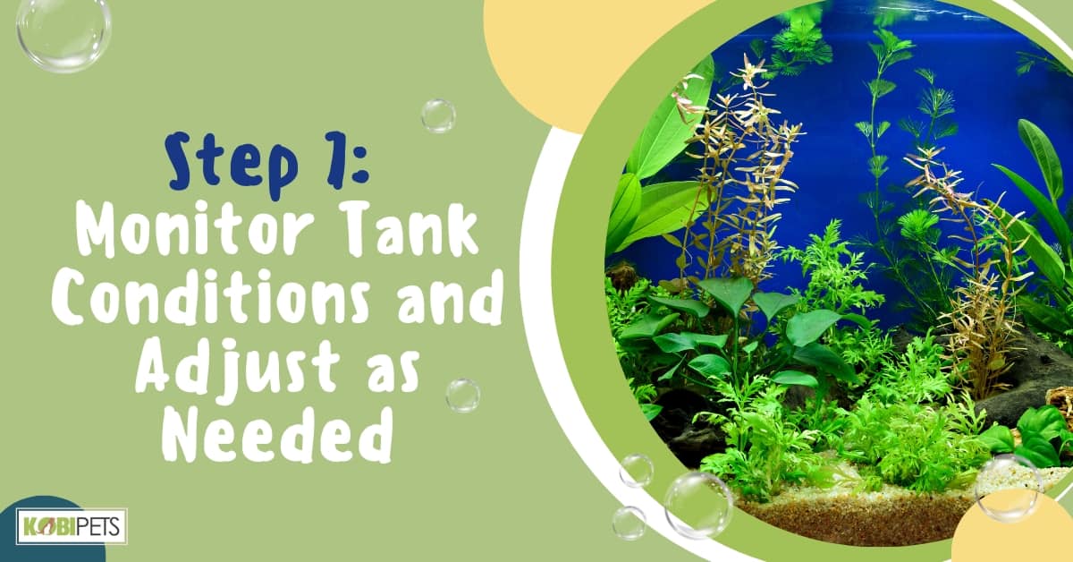 Step 7: Monitor Tank Conditions and Adjust as Needed