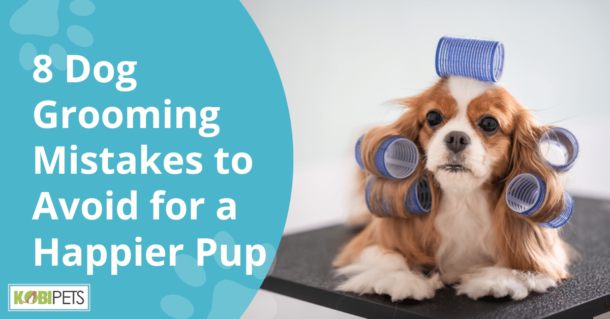8 Dog Grooming Mistakes to Avoid for a Happier Pup