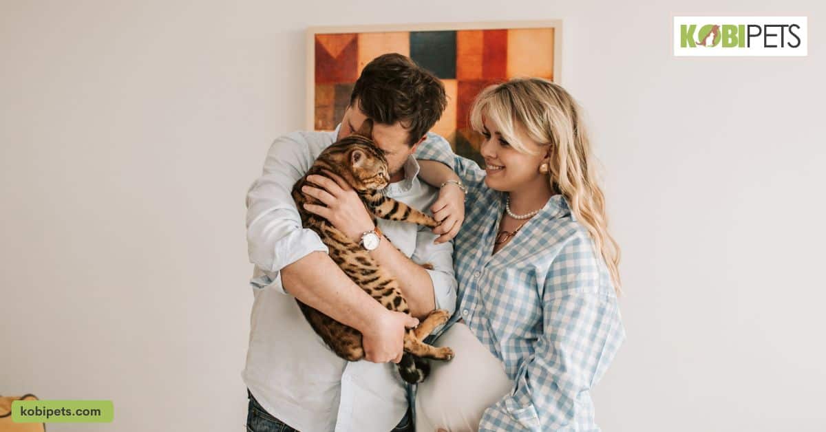 Bonding with Your Cat