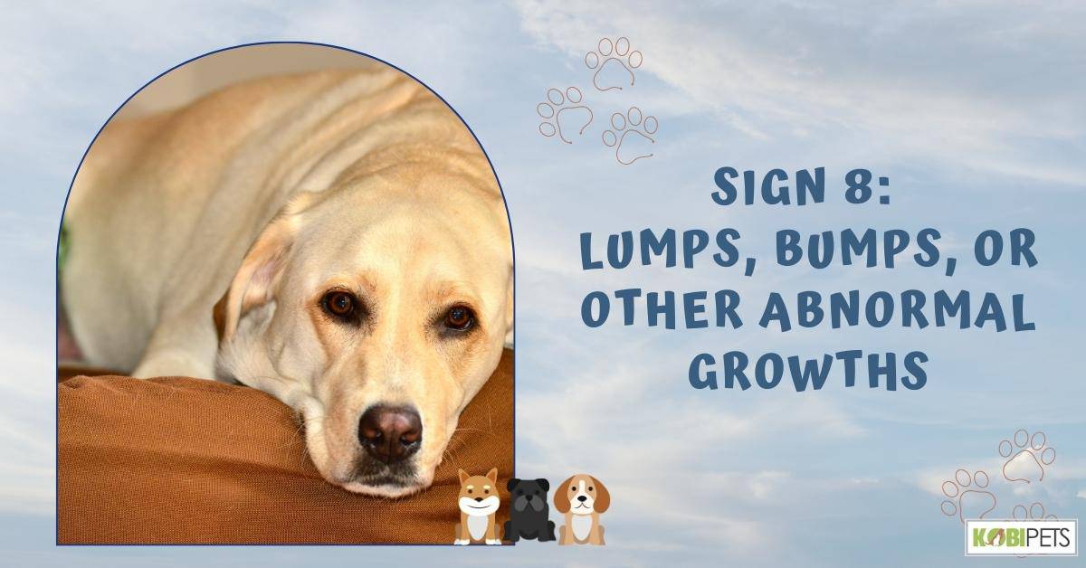 Sign 8: Lumps, Bumps, or Other Abnormal Growths