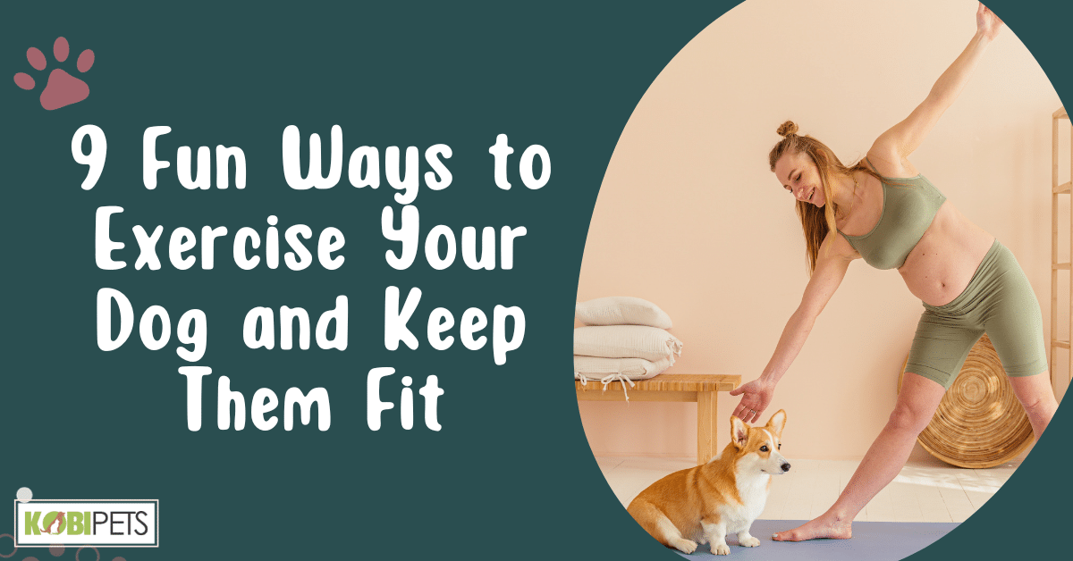 9 Fun Ways to Exercise Your Dog and Keep Them Fit