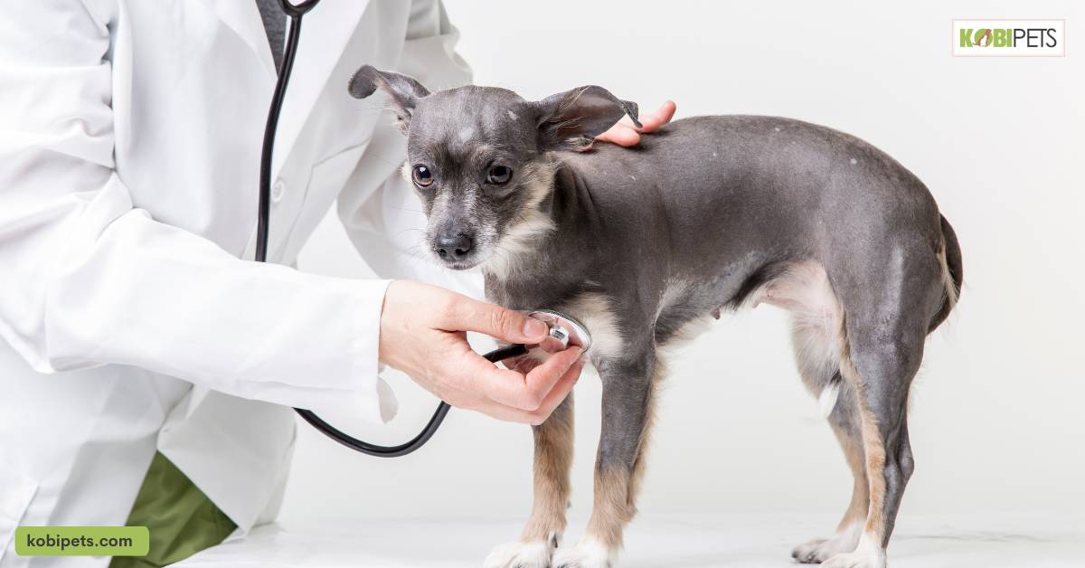 Addressing any underlying health problems