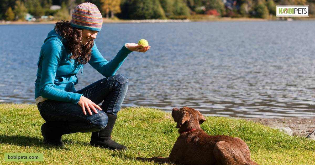 Age and breed-specific training