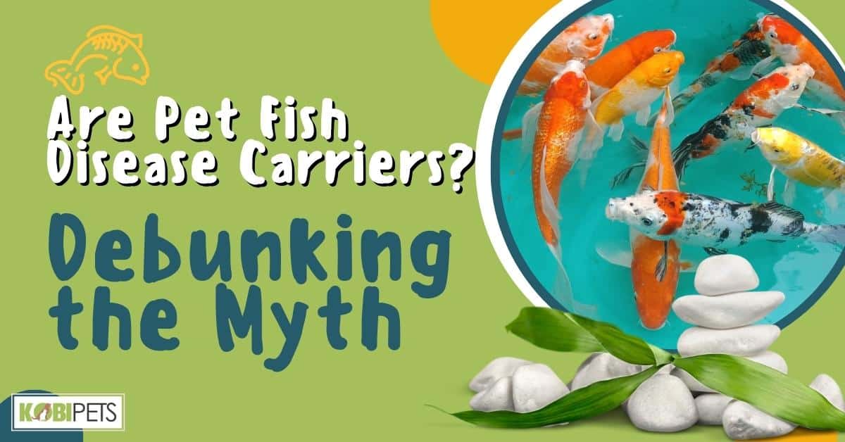 Are Pet Fish Disease Carriers? Debunking the Myth