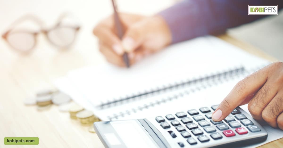 Assess Your Budget and Needs