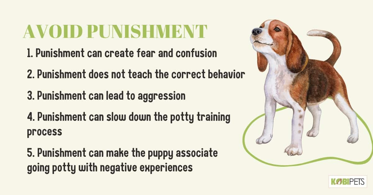 Avoid Punishment