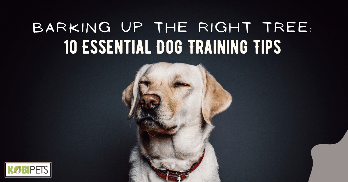 Barking Up the Right Tree: 10 Essential Dog Training Tips