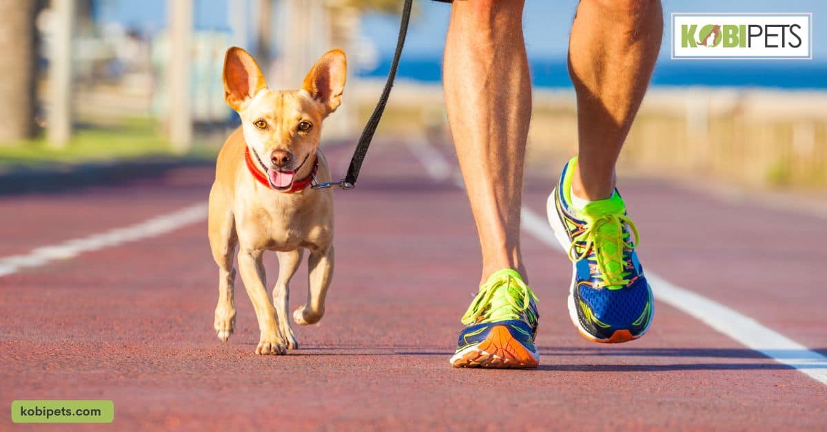 Benefits of Socialization for the Puppy and the Owner