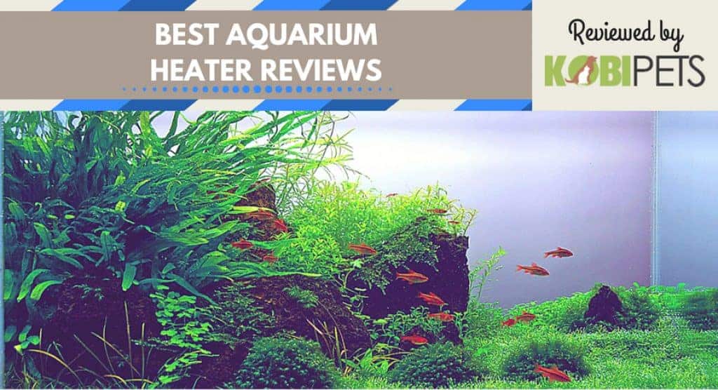 Best Aquarium Heater Reviews