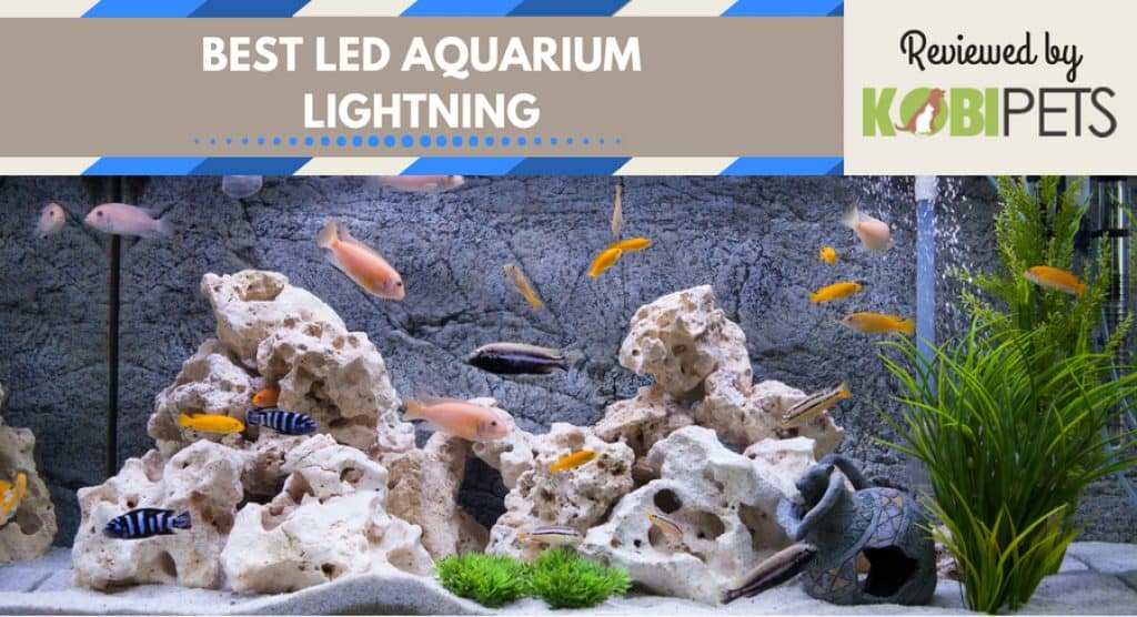 10 Best Led Aquarium Lights for Plants