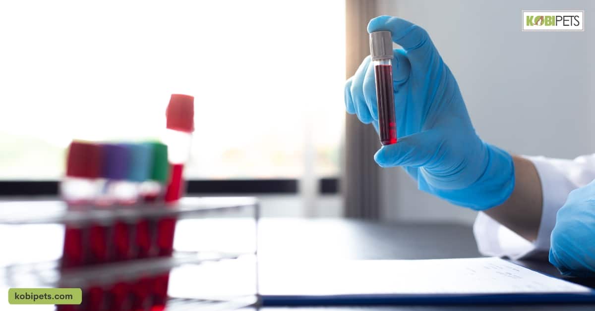 Blood Sampling