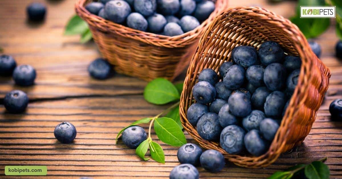 Blueberries