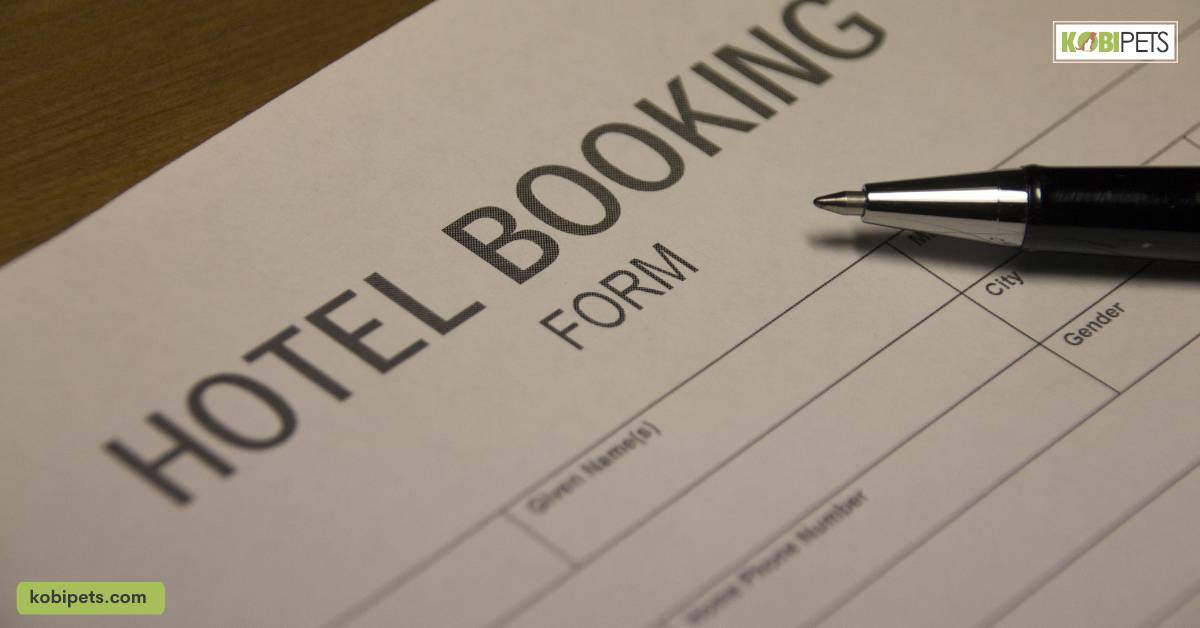 Booking Accommodations for You and Your Dog