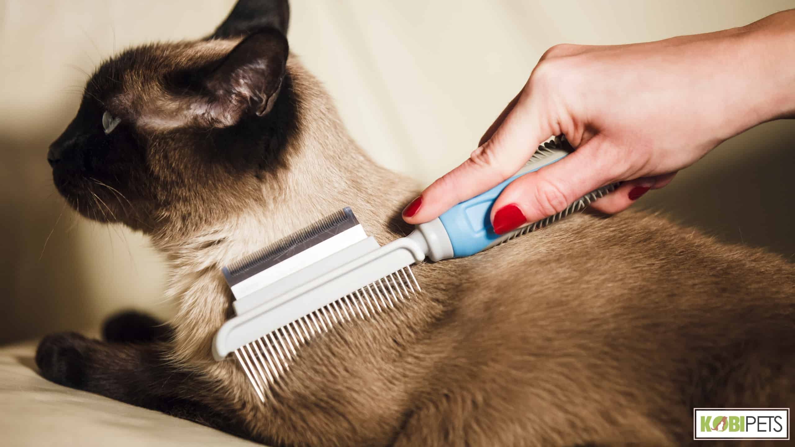 Brushing and Combing