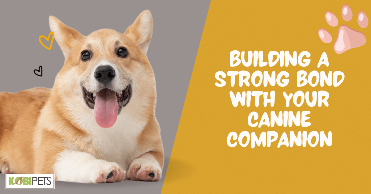 Building a Strong Bond with Your Canine Companion