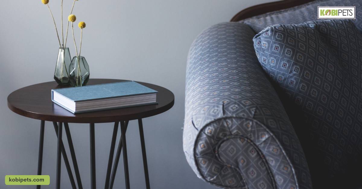 Cat-Friendly Furniture