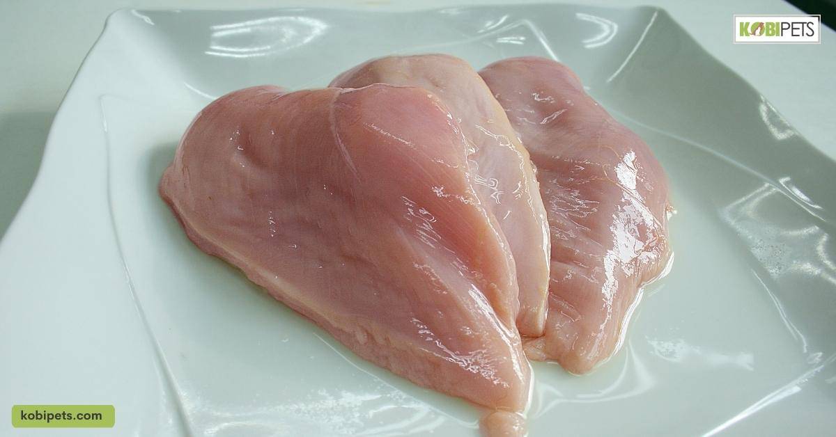 Chicken