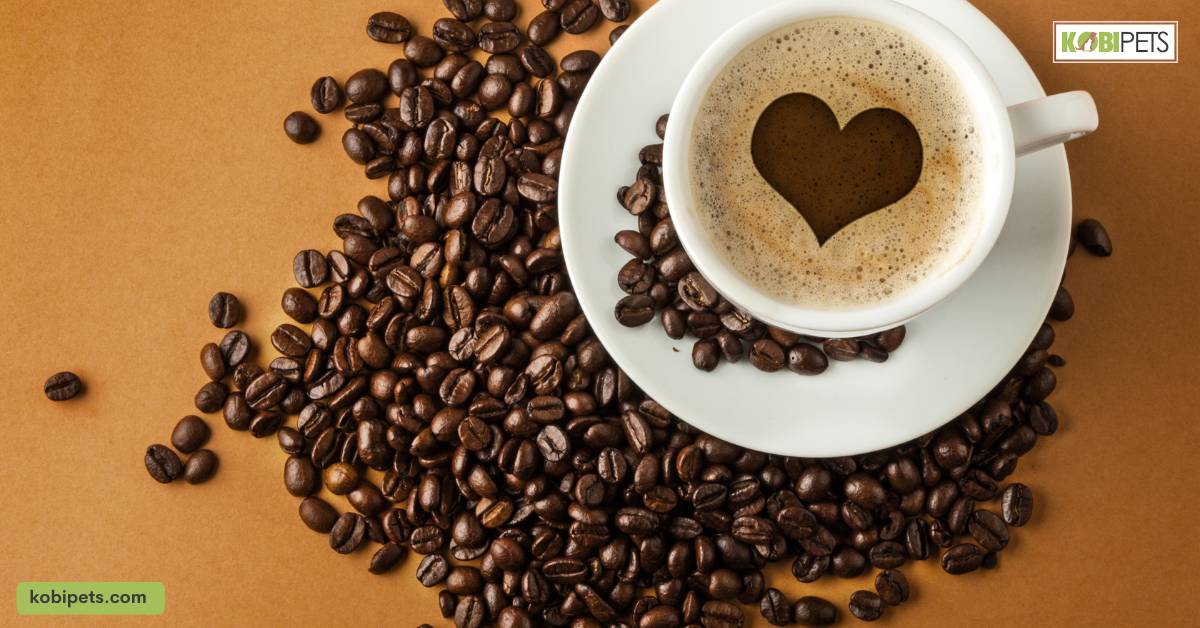 Chocolate and Caffeine