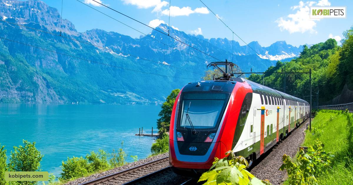 Choosing the Right Train and Tickets
