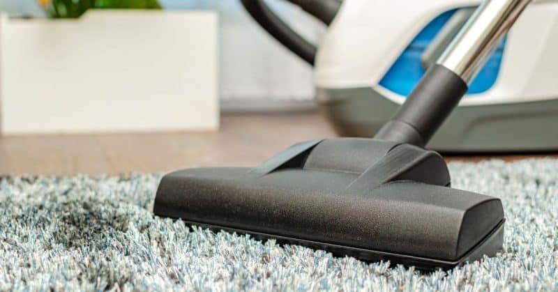 clean a carpet from dog hair