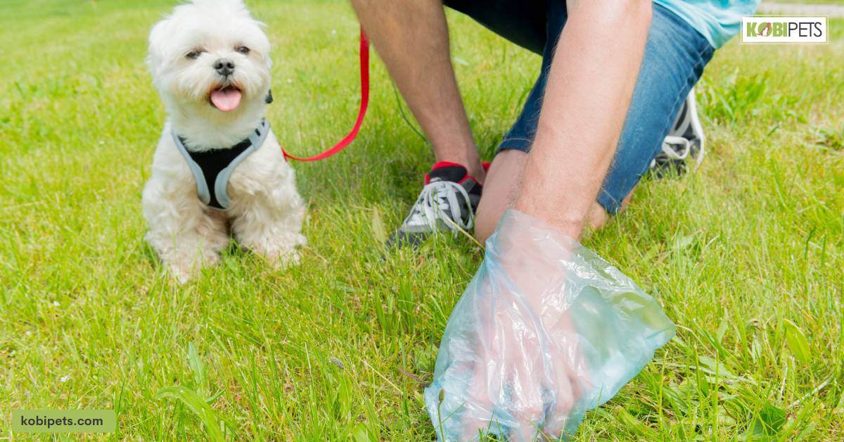 Clean-up Tips