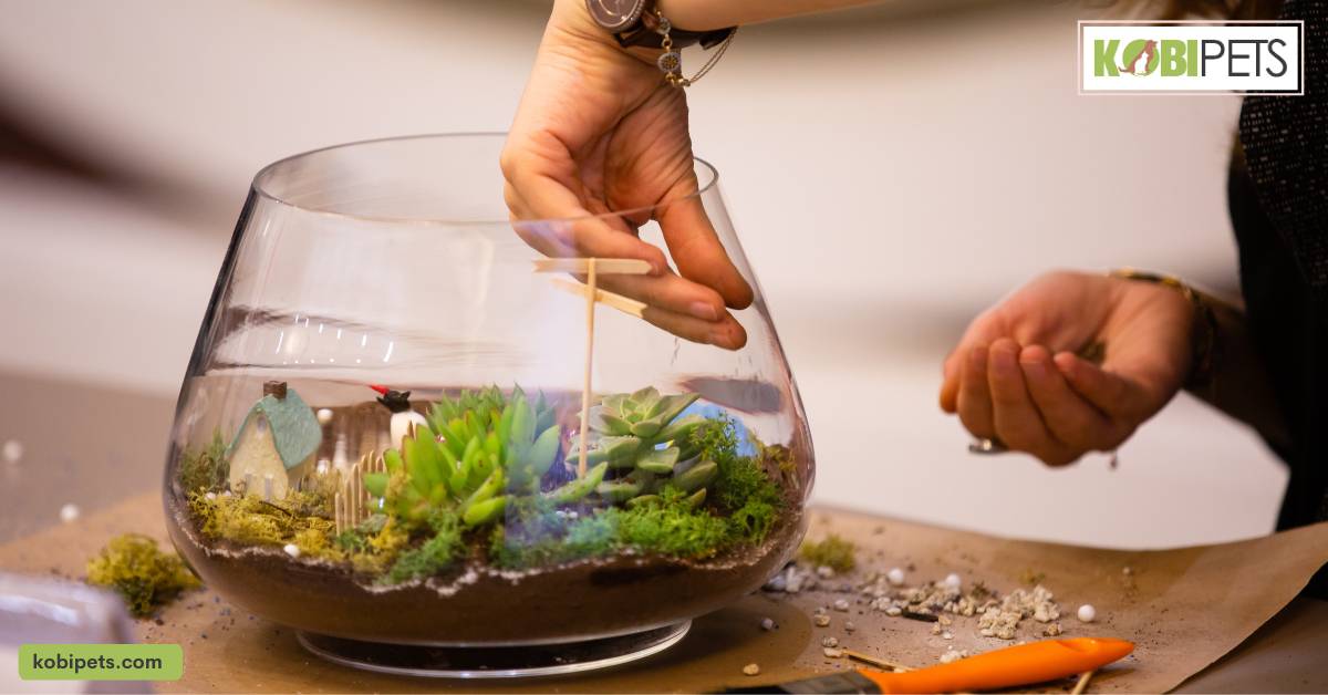 Cleaning the Terrarium
