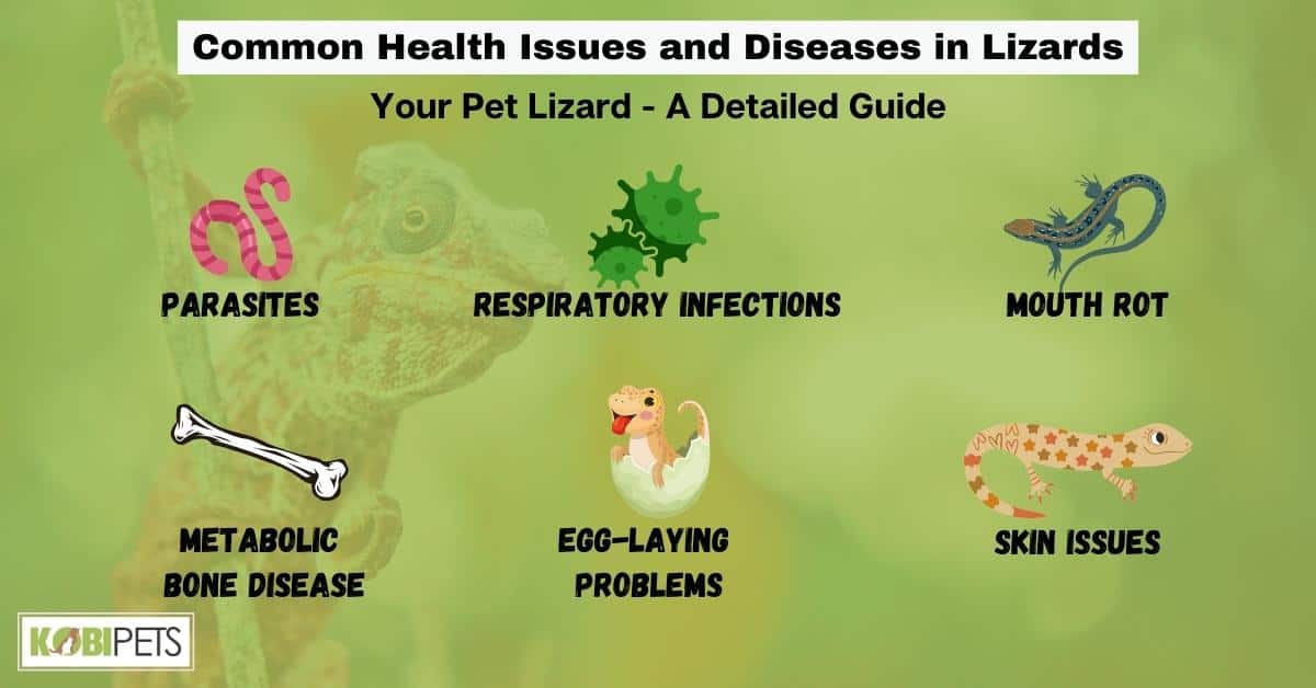 Common Health Issues and Diseases in Lizards