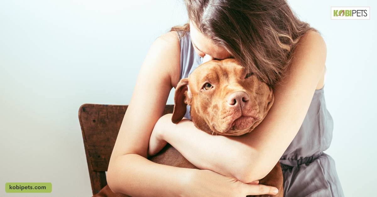Companionship and Emotional Support