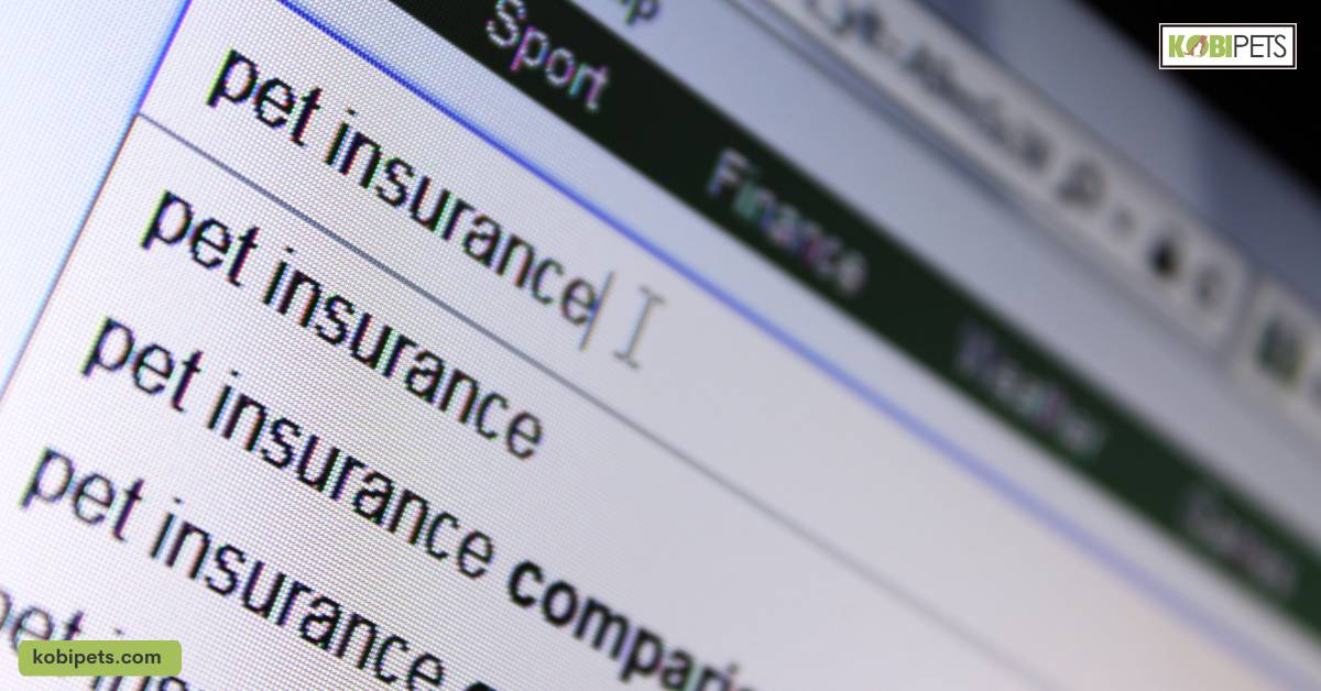 Compare Premiums and Policy Costs