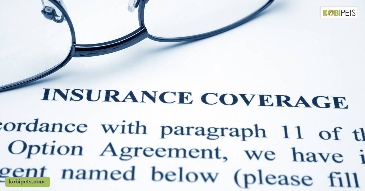 Consider the Type of Coverage You Want