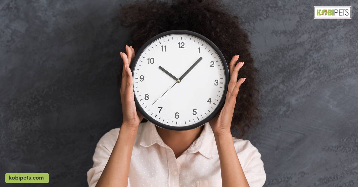 Consider Your Time and Energy Commitment